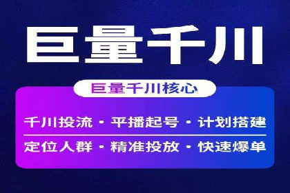 网络推广中的竞价广告：成功案例解析